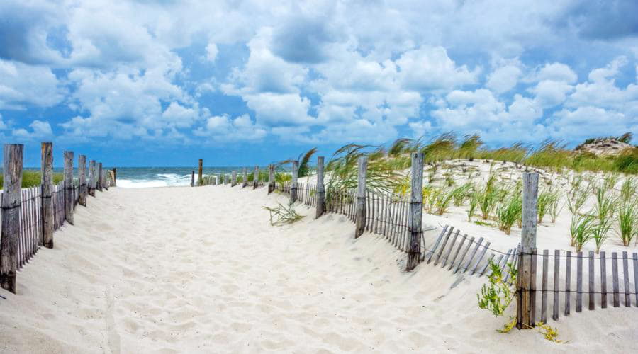 Nossos serviços de aluguel de carros oferecem uma seleção diversificada de veículos no parque à beira-mar.